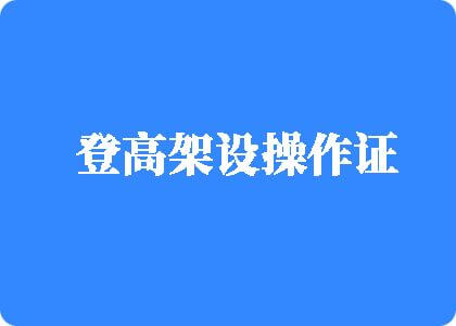 后入bb真实视频登高架设操作证